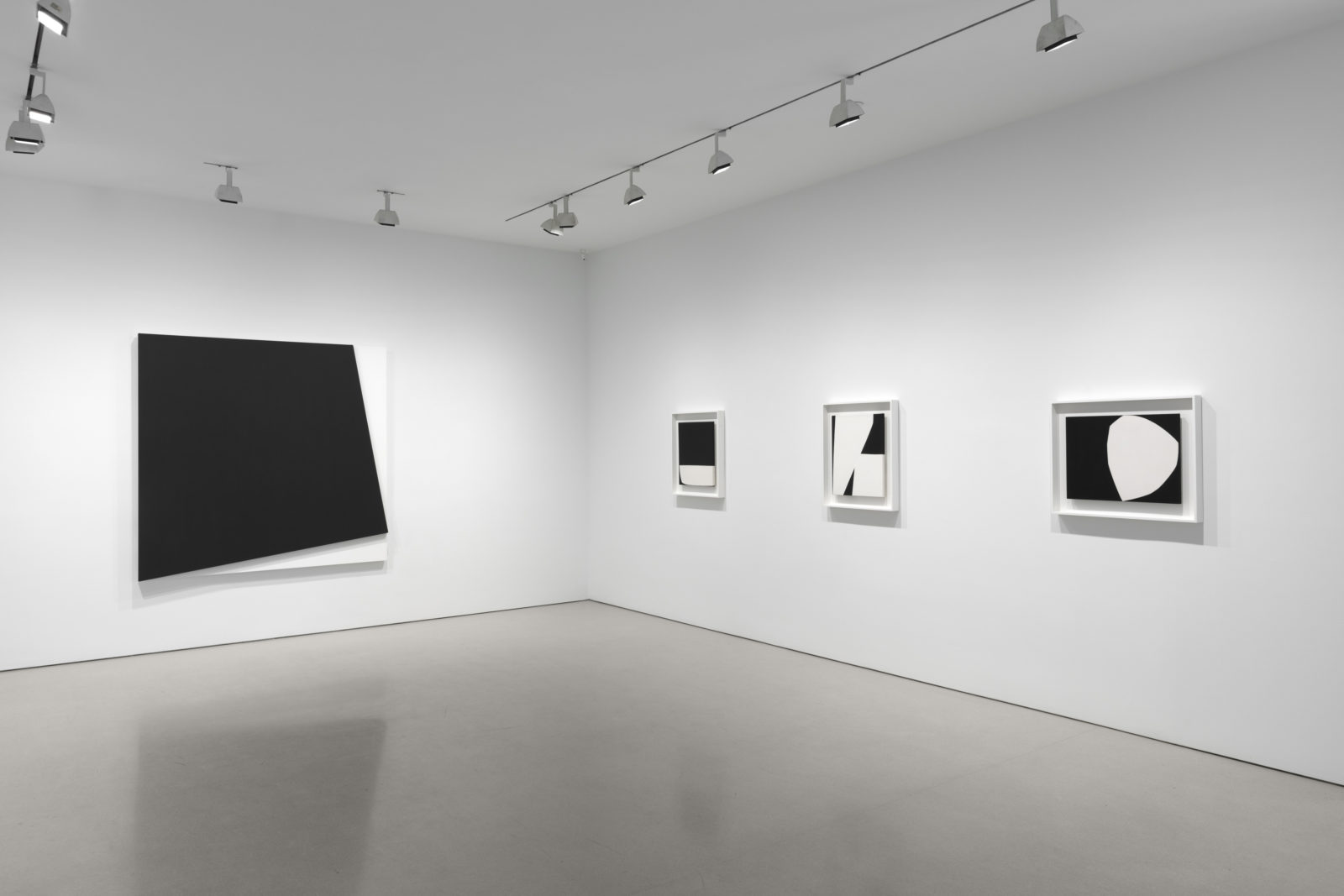 Ellsworth Kelly curated by Jack Shear