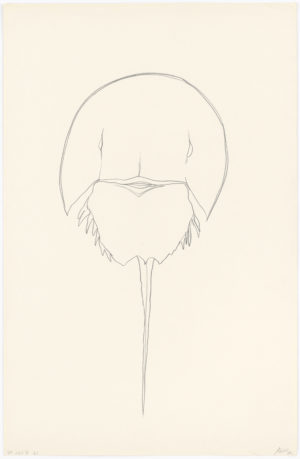 courtesy Matthew Marks Gallery, New York