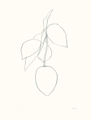 © Ellsworth Kelly Foundation, courtesy Marquand