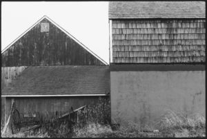 © Ellsworth Kelly Foundation, courtesy Matthew Marks Gallery